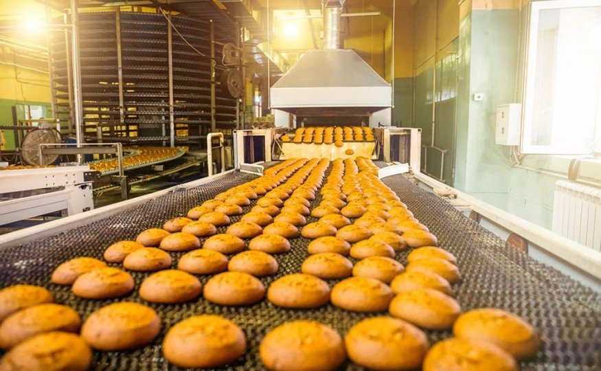 Esteira para transporte de alimentos – acerte na escolha